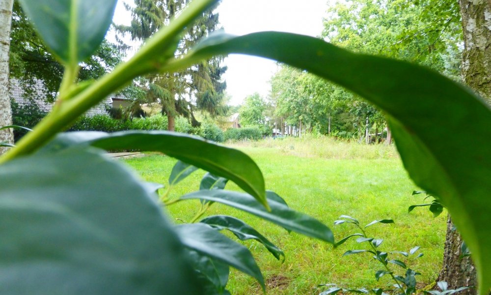 Absolute Rarität an der Wietze