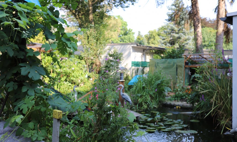 Einzelstück in gefragter Lage