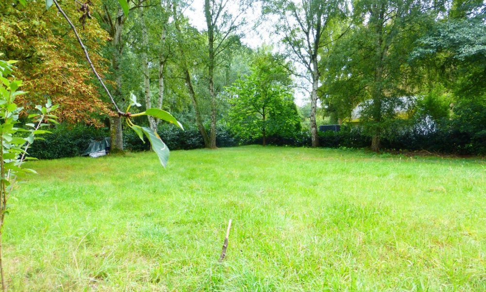 Absolute Rarität an der Wietze