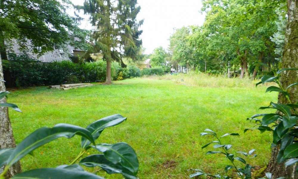 Absolute Rarität an der Wietze