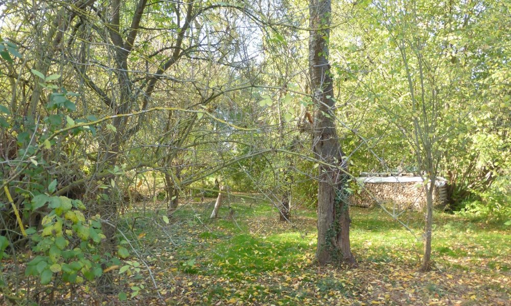 Kapitalanleger, Investoren aufgepasst!!