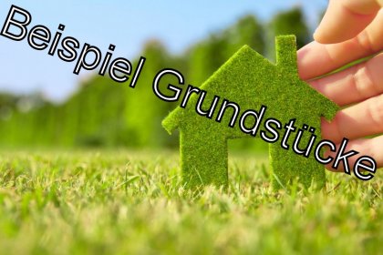 grundstueck-beispiel_1554363441.jpg